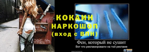 гидра Новозыбков