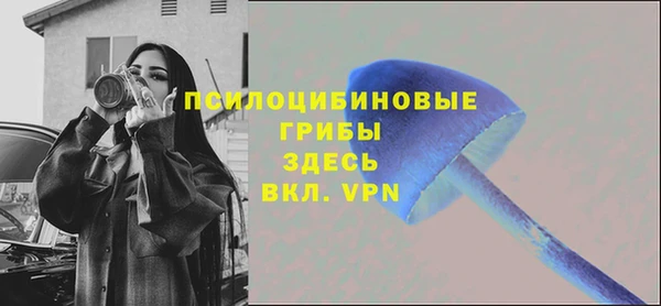 ПСИЛОЦИБИНОВЫЕ ГРИБЫ Новодвинск