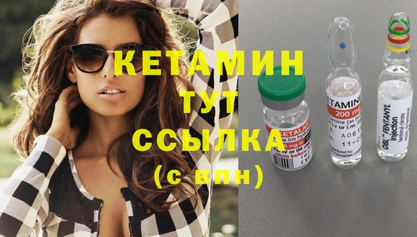 крисы Няндома
