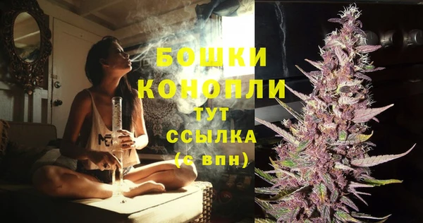крисы Няндома