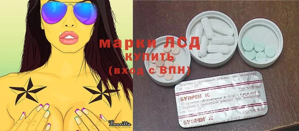 гидра Новозыбков