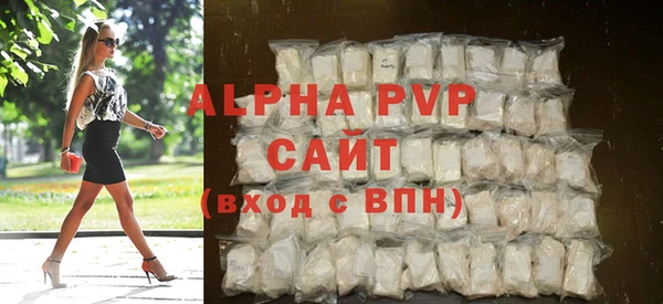 гидра Новозыбков