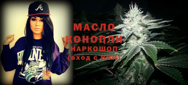 гидра Новозыбков