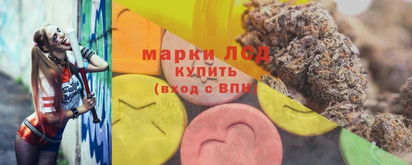 гидра Новозыбков