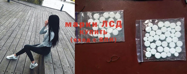 гидра Новозыбков
