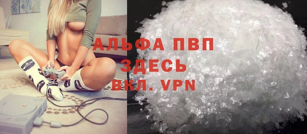 гидра Новозыбков